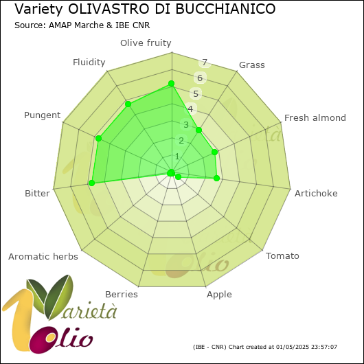 Sensory profile of 