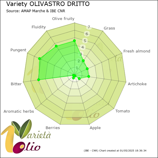 Sensory profile of 