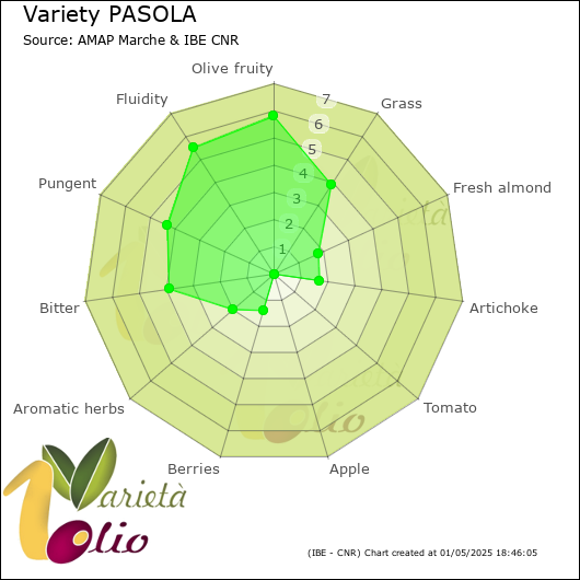 Sensory profile of 