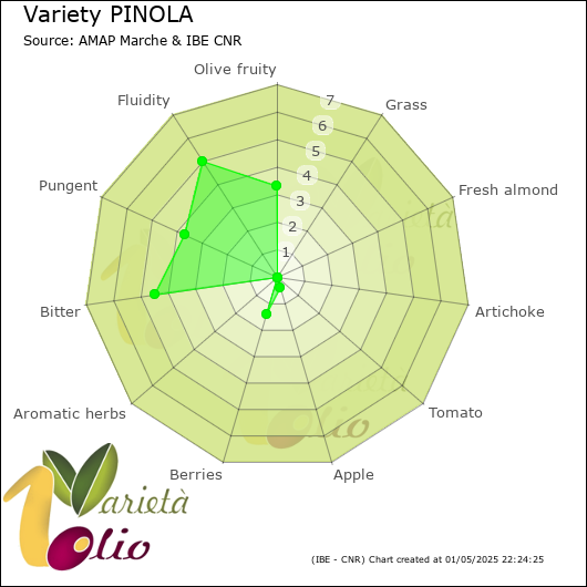 Sensory profile of 