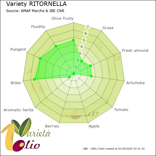 Sensory profile of 