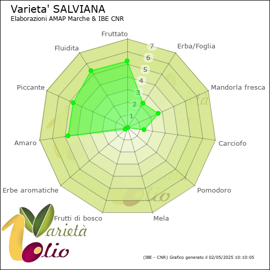 Profilo sensoriale medio della cultivar 