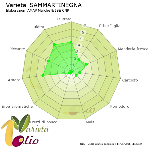 Profilo sensoriale medio della cultivar 