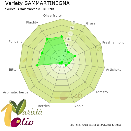 Sensory profile of 