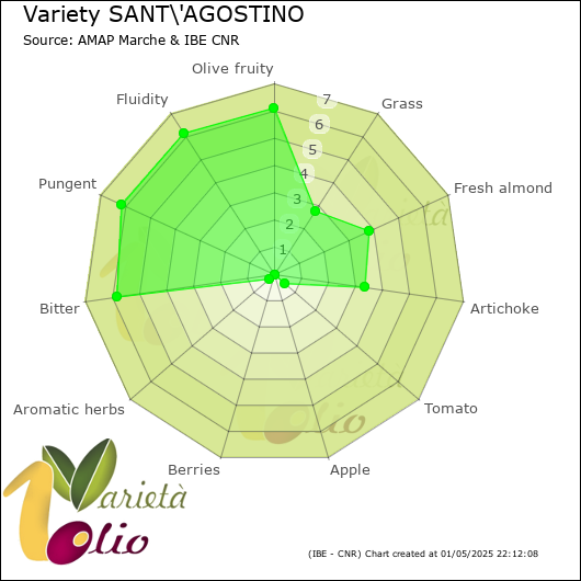 Sensory profile of 