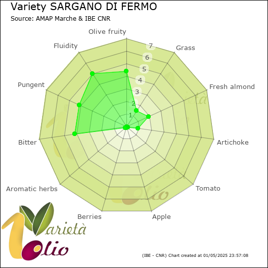 Sensory profile of 