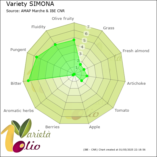 Sensory profile of 