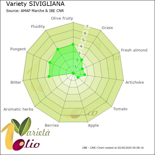 Sensory profile of 