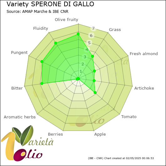 Sensory profile of 