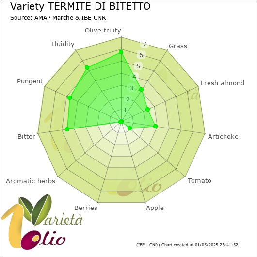 Sensory profile of 