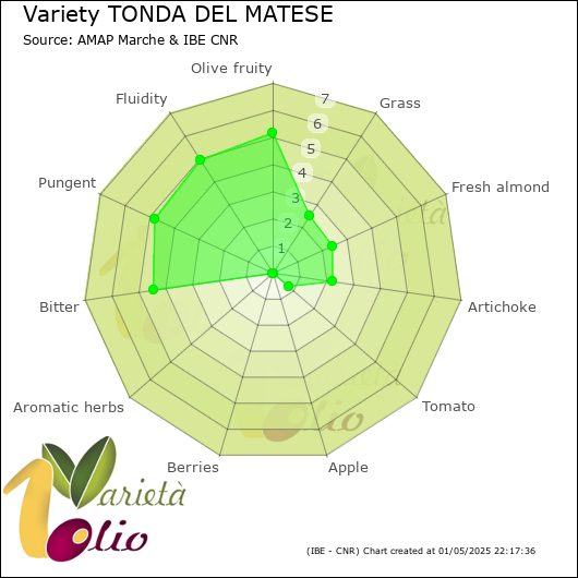 Sensory profile of 