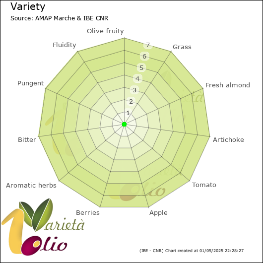 Sensory profile of 